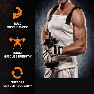 OEM سفارشی پودر ایزوله پروتئین آب پنیر BCAA پودر پروتئین آب پنیر برای کاهش وزن