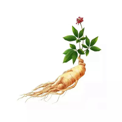 عرضه کننده کارخانه تایلند کپسول و قرص OEM پودر زنجبیل سیاه برای مراقبت از سلامت مردان
