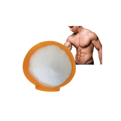 OEM مکمل کپسول میکرونیزه کراتین مونوهیدرات کپسول فله 60/200 مش کراتین مونوهیدرات