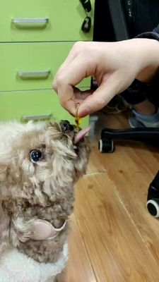 OEM Pet Health مکمل روغن ماهی برای سگ و گربه امگا 3
