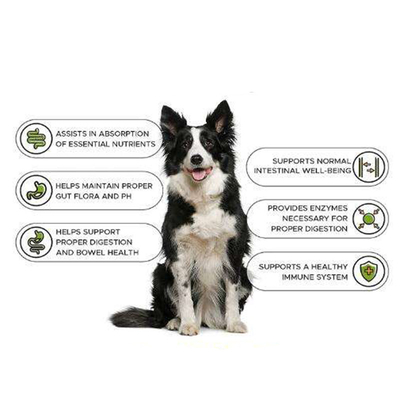 مکمل OEM Natur Pet Nutrit Training Gain قرص Health Muscle Gain Builder Dog Weight Gain Protein Supplement