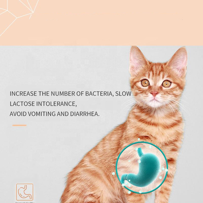 Kittens OEM Milk Supplement مکمل های مراقبت از حیوانات خانگی