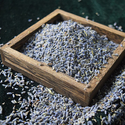 گیاهی جایگزین سالم برای گل های خشک چای چای اسطوخودوس خشک
