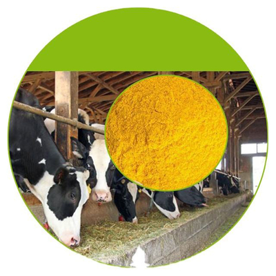مکمل های غذایی روغن ویتامین E زنان برای سلامت مردان و زنان